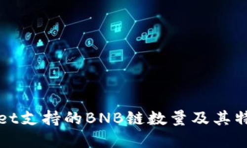 TPWallet支持的BNB链数量及其特点详解