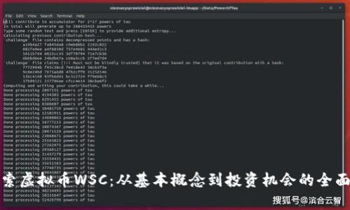 : 探索虚拟币WSC：从基本概念到投资机会的全面解析
