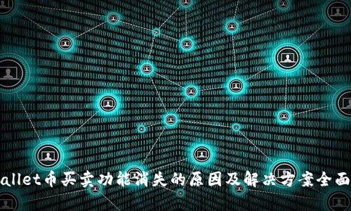 TPWallet币买卖功能消失的原因及解决方案全面解析