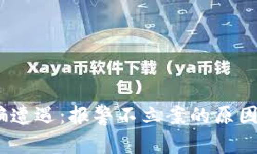  虚拟币诈骗遭遇：报警不立案的原因及应对措施