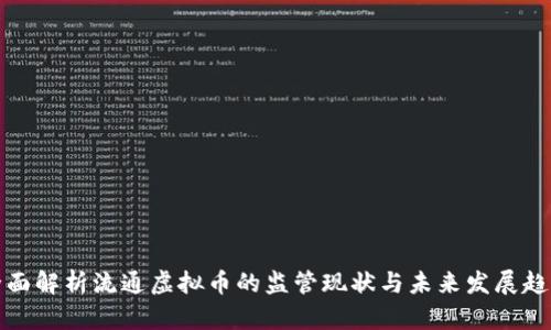 全面解析流通虚拟币的监管现状与未来发展趋势