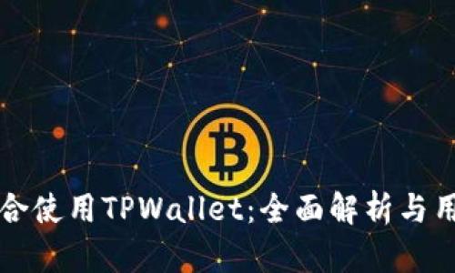 谁最适合使用TPWallet：全面解析与用户指南
