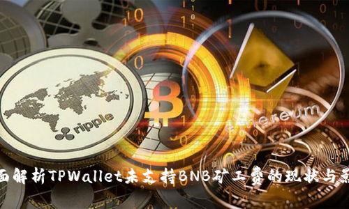 全面解析TPWallet未支持BNB矿工费的现状与影响