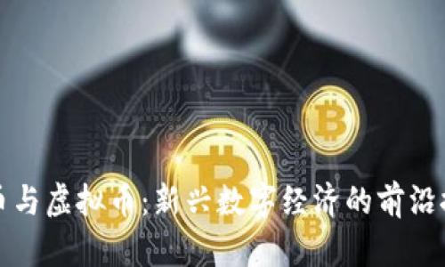 魔币与虚拟币：新兴数字经济的前沿探索