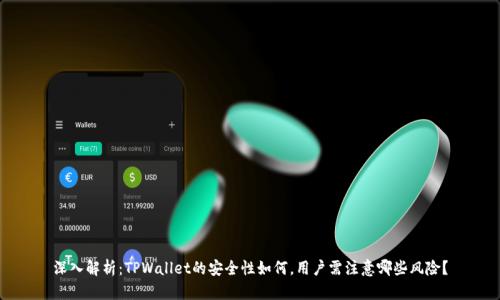 深入解析：TPWallet的安全性如何，用户需注意哪些风险？