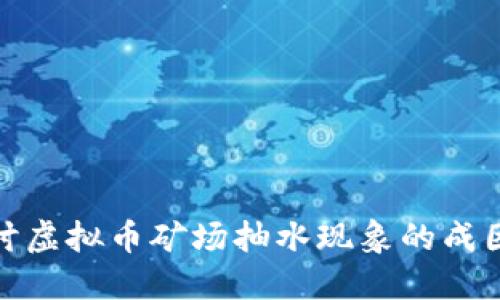 深入探讨虚拟币矿场抽水现象的成因与影响