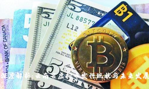 深度解析：云南省虚拟币发行现状与未来发展