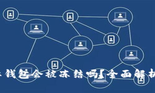  虚拟币国际钱包会被冻结吗？全面解析及应对策略
