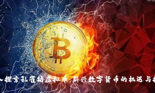 深入探索孔雀坊虚拟币：新兴数字货币的机遇与挑战