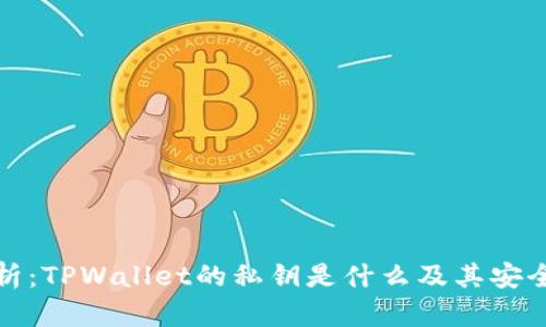 全面解析：TPWallet的私钥是什么及其安全性问题