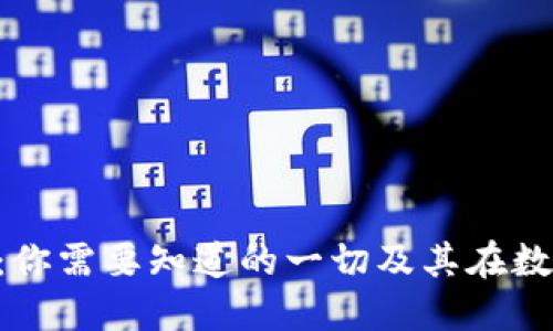 深入探索IBO虚拟币：你需要知道的一切及其在数字货币生态中的未来