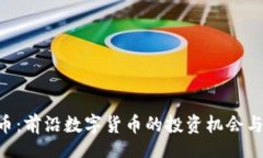 brTXS虚拟币：前沿数字货币的投资机会与应用潜力