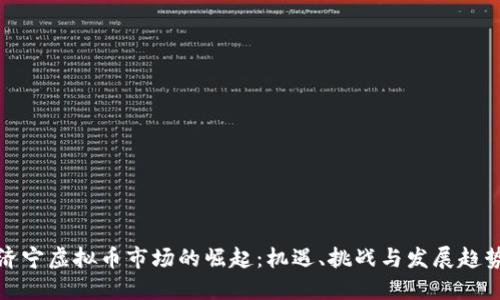济宁虚拟币市场的崛起：机遇、挑战与发展趋势