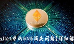   如何解决TPWallet中的BNB消失问题？详细解析与解