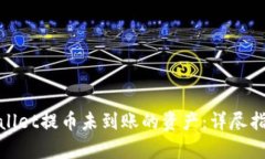 如何找回tpwallet提币未到账的资产：详尽指南与解