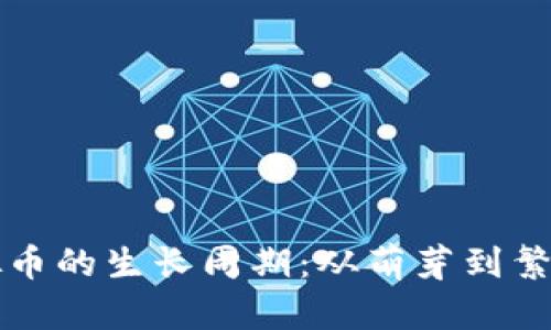 深入探索虚拟币的生长周期：从萌芽到繁荣的演变历程