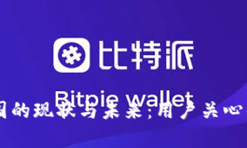 TPWallet在中国的现状与未来：用户关心的关键问题解析
