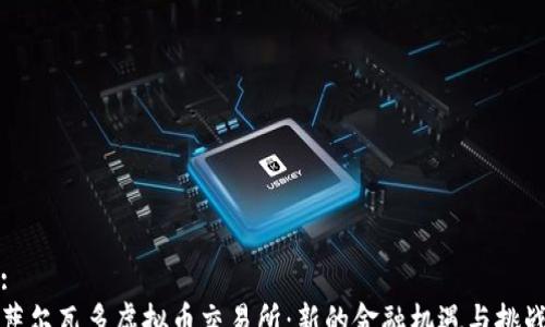 
:
萨尔瓦多虚拟币交易所：新的金融机遇与挑战