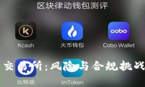 开发虚拟币交易所：风险与合规挑战的全面解析