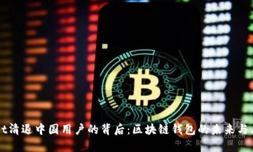 TPWallet清退中国用户的背后：区块链钱包的未来与风险分析