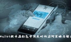 当TPWallet提币在打包中消失时的应对策略与解决方