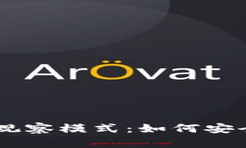 深度解析TPWallet观察模式：如何安全查看私钥及其应用