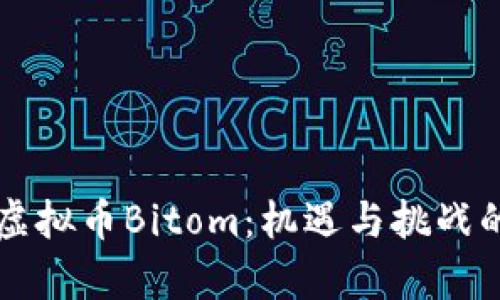 深入探索虚拟币Bitom：机遇与挑战的全面分析