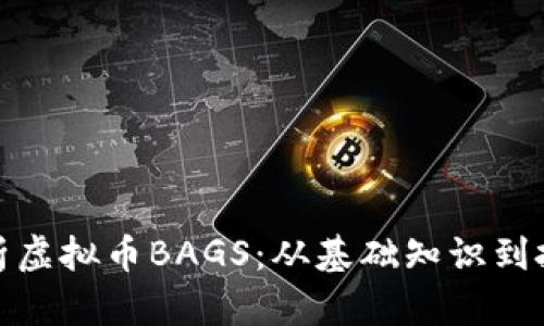 全面解析虚拟币BAGS：从基础知识到投资策略