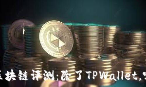   
2023年最佳区块链评测：除了TPWallet，哪些值得关注？